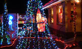 A view from the side street with red, green and blue lights on the mega tree